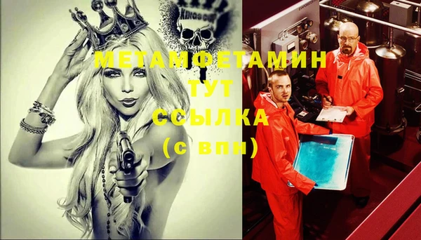 шишки Абаза