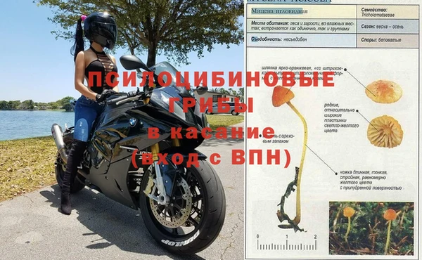 гашик Алексеевка