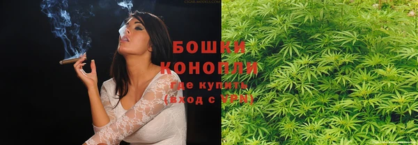 гашик Алексеевка