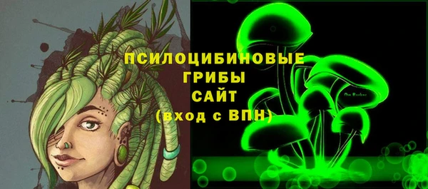 дмт Алзамай